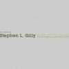 Stephen L Gilly & Associates