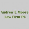 Andrew E Moore Law Firm PC