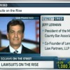 Lerman Law Partners